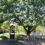 Ezüsthíd Vonyarcvashegy