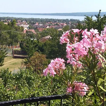 Holiday home Ezuesthid Vendeghaz Vonyarcvashegy