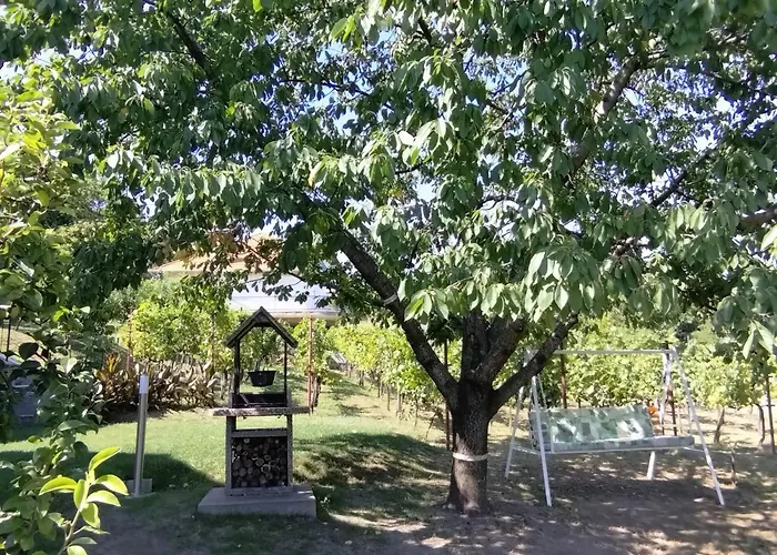 Ezuesthid Vendeghaz פוניארצוושהג'