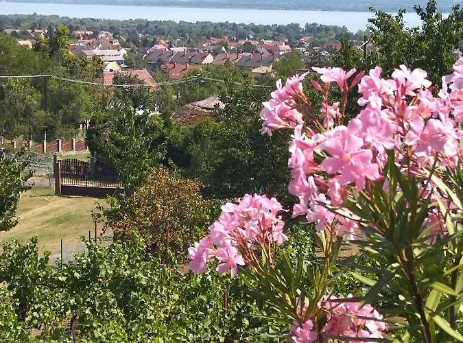 בית נופש Ezuesthid Vendeghaz פוניארצוושהג'